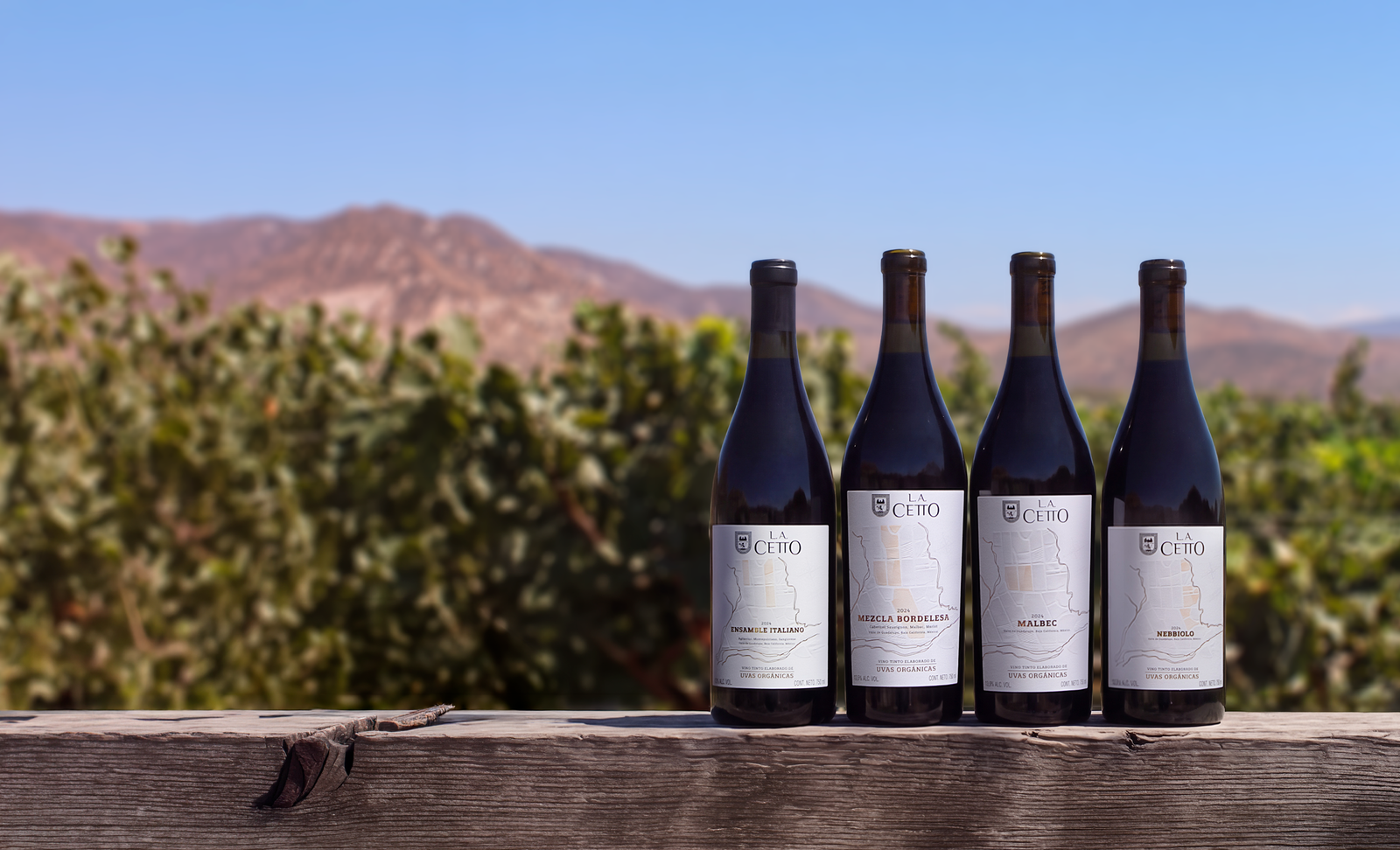 Selección de vinos orgánicos frente al viñedo
